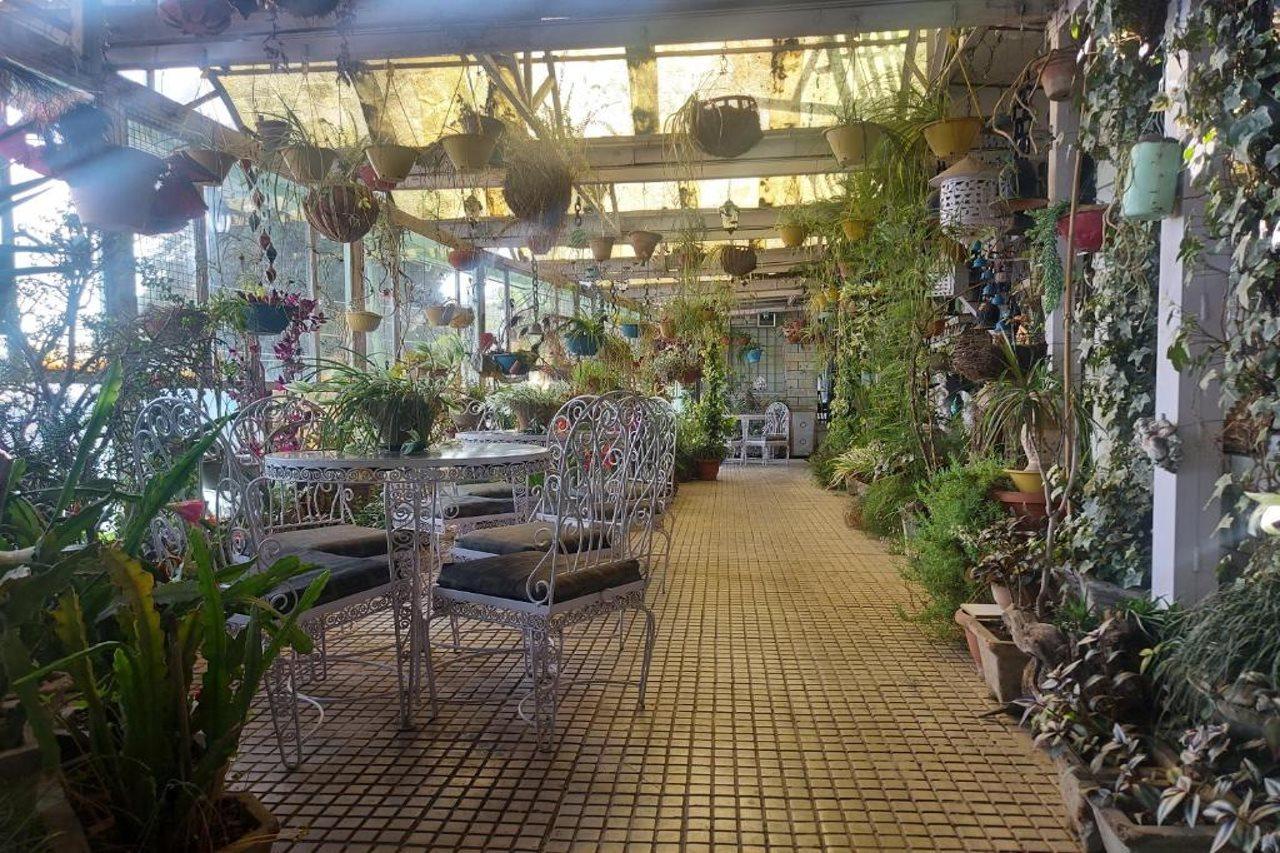 Brightland Hotel 西姆拉 外观 照片